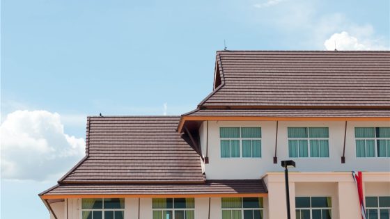 Metal Roofing 1