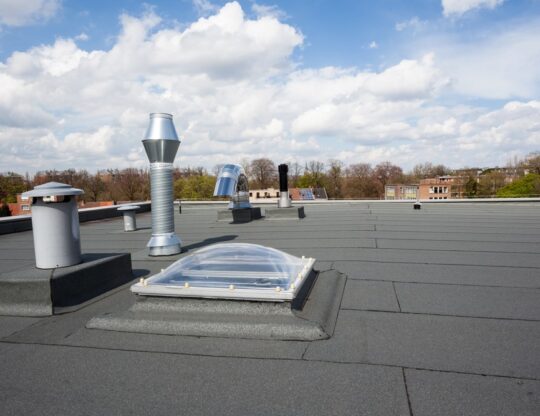 Flat Roof 4